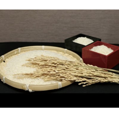 毎月定期便】兵庫県産 コシヒカリ(白米) 30kg(10kg×3)全6回