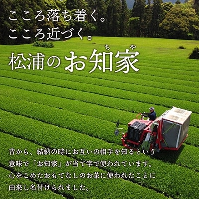 松浦産「松浦のお知家」お茶ペットボトル500ml×24本