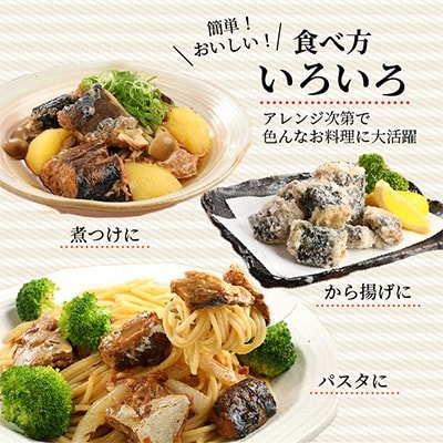 さば水煮缶セット(12缶)
