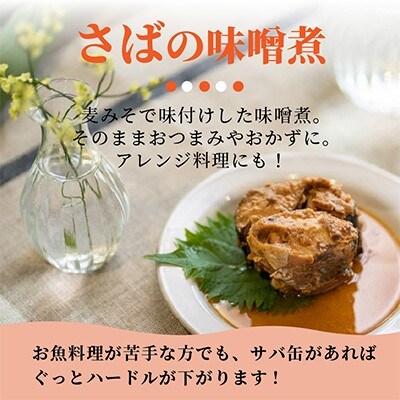 【毎月定期便】さば味噌煮缶セット(12缶)全6回