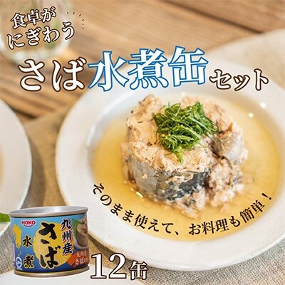 【毎月定期便】さば水煮缶セット(12缶)全3回