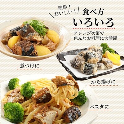 【毎月定期便】さば味噌煮缶セット(24缶)全3回