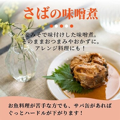【毎月定期便】さば味噌煮缶セット(24缶)全6回
