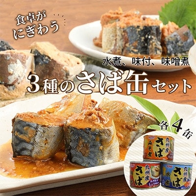 【毎月定期便】さば缶セット(3種×各4缶)全6回