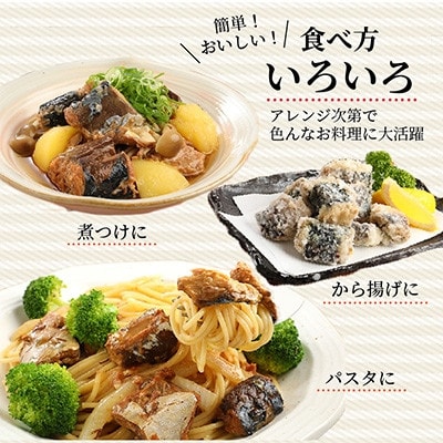 【毎月定期便】さば缶セット(3種×各4缶)全6回