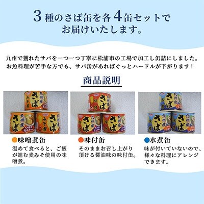 【毎月定期便】さば缶セット(3種×各4缶)全3回