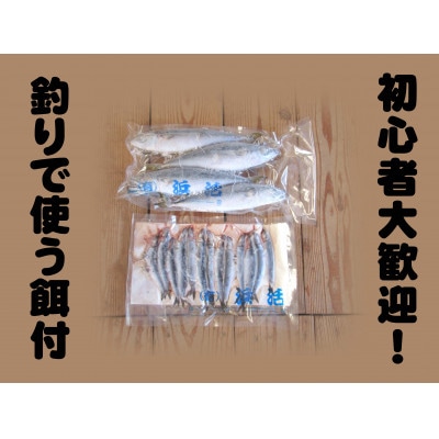 【釣り堀　ハマカツ】女性1名釣り堀利用券
