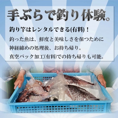 【釣り堀　ハマカツ】女性1名釣り堀利用券