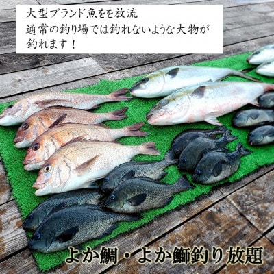 【釣り堀　ハマカツ】小学生以下1名釣り堀利用券