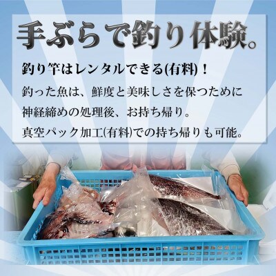 【釣り堀　ハマカツ】小学生以下1名釣り堀利用券