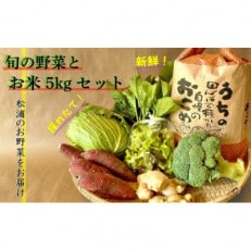 道の駅松浦海のふるさと館『旬のお野菜+お米5kg』の大満足セット!