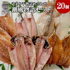 干物訳あり20個詰め合わせ　～潮風物語セット　松浦のあじ・さば・いか・を使った干物～