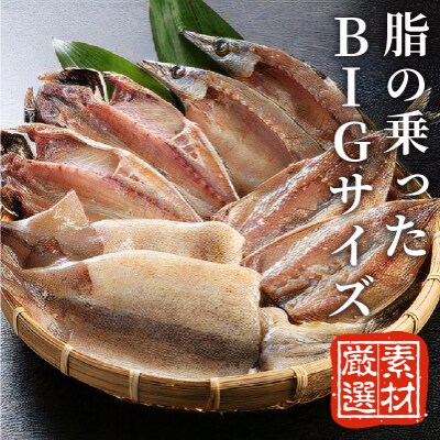 【2023年3月下旬発送】スーパー潮風　4種8枚