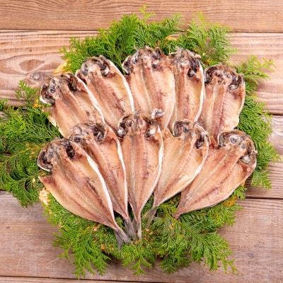 松浦・潮風のたより　アジ昆布出汁10枚入り