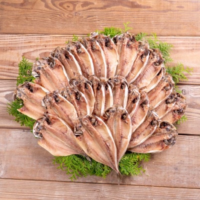 松浦・潮風のたより アジ昆布出汁25枚入り