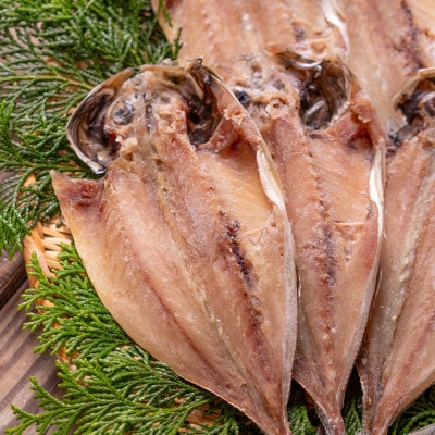 松浦・潮風のたより アジ昆布出汁25枚入り