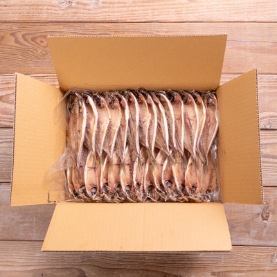 松浦・潮風のたより アジ昆布出汁25枚入り