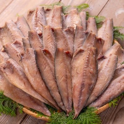 松浦・潮風のたより  塩サバフィレ一夜干し30枚入り