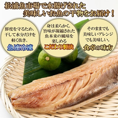 松浦・潮風のたより  塩サバフィレ一夜干し30枚入り