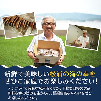 松浦・潮風のたより アジみりん30枚入り