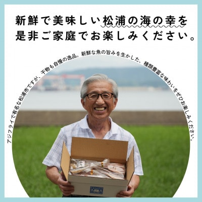 潮風のたより Big (イカあり)干物セット 1点