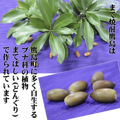 まて焼酎鷹島【鷹島町限定酒】720ml×1本