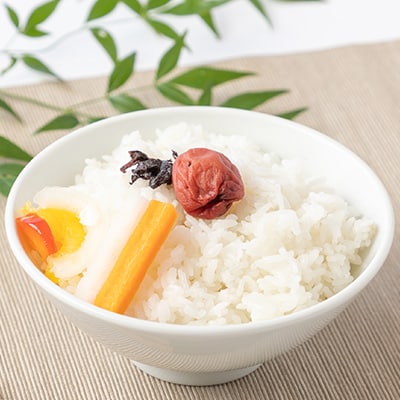 令和6年産　田代の米　5kg