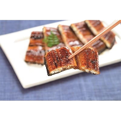 海水育てのおうごんうなぎ満腹セット計500g(3尾～5尾)