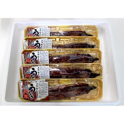 海水育てのおうごんうなぎ満腹セット計500g(3尾～5尾)