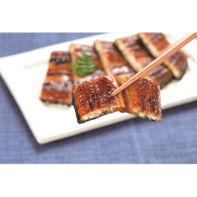 海水育てのおうごんうなぎ計300g(2尾～3尾)