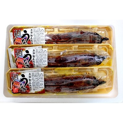 海水育てのおうごんうなぎ計300g(2尾～3尾)
