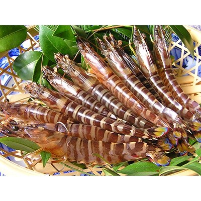 お届けオーダーメイド!松浦お魚楽園