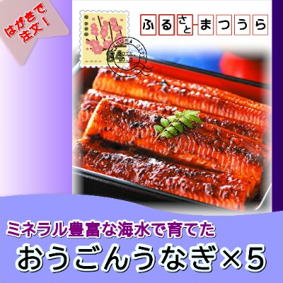 お届けオーダーメイド!おうごんうなぎ6尾～8尾×5