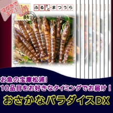 お届けオーダーメイド!松浦お魚パラダイスDX(10種のお魚用)