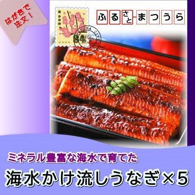 お届けオーダーメイド!海水かけ流しうなぎ　3尾×5回