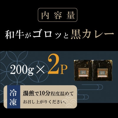 和牛がゴロッと黒カレー 200g×2袋