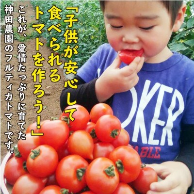 期間限定　大切に育てたフルティカトマト1.2kg