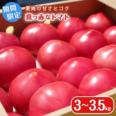 真っ赤なトマト3kg～3.5kg
