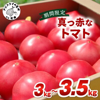真っ赤なトマト3kg～3.5kg