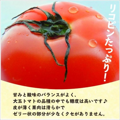 真っ赤なトマト3kg～3.5kg