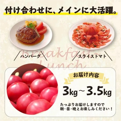 真っ赤なトマト3kg～3.5kg