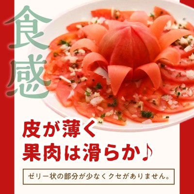 真っ赤なトマト3kg～3.5kg