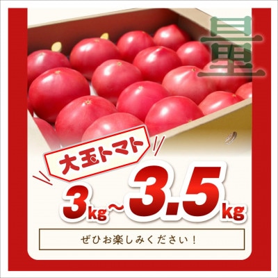 真っ赤なトマト3kg～3.5kg