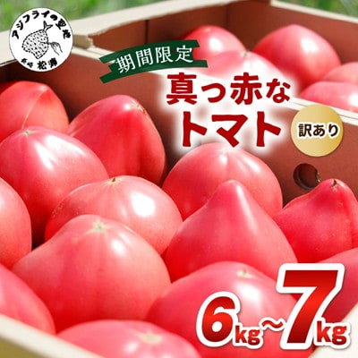 真っ赤なトマト訳あり6kg～7kg