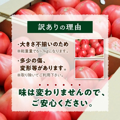 真っ赤なトマト訳あり6kg～7kg