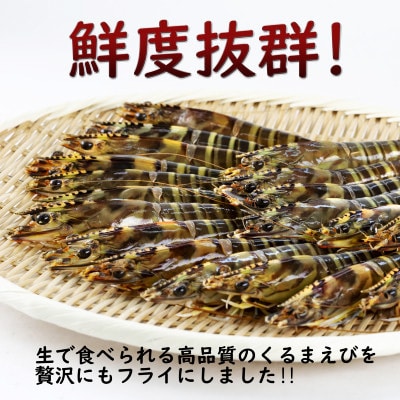 【冷凍のまま電子レンジで2分!】プレミアム松浦くるまえびフライ200g(4～5尾)