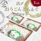 活〆おうごんとらふぐ刺身3人前セット
