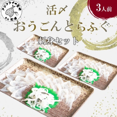 活〆おうごんとらふぐ刺身3人前セット