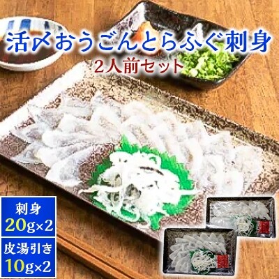【2023年2月上旬発送】活〆おうごんとらふぐ刺身2人前セット