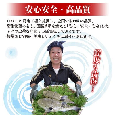 【2023年2月上旬発送】活〆おうごんとらふぐ刺身2人前セット